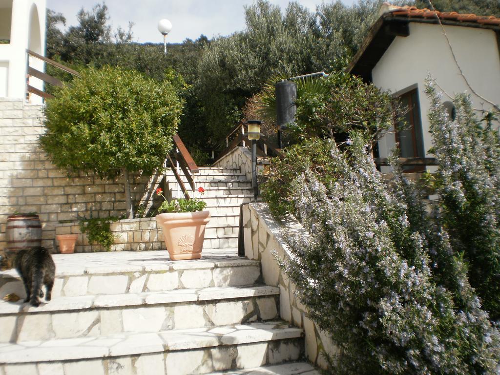 Apartma Pinezic *