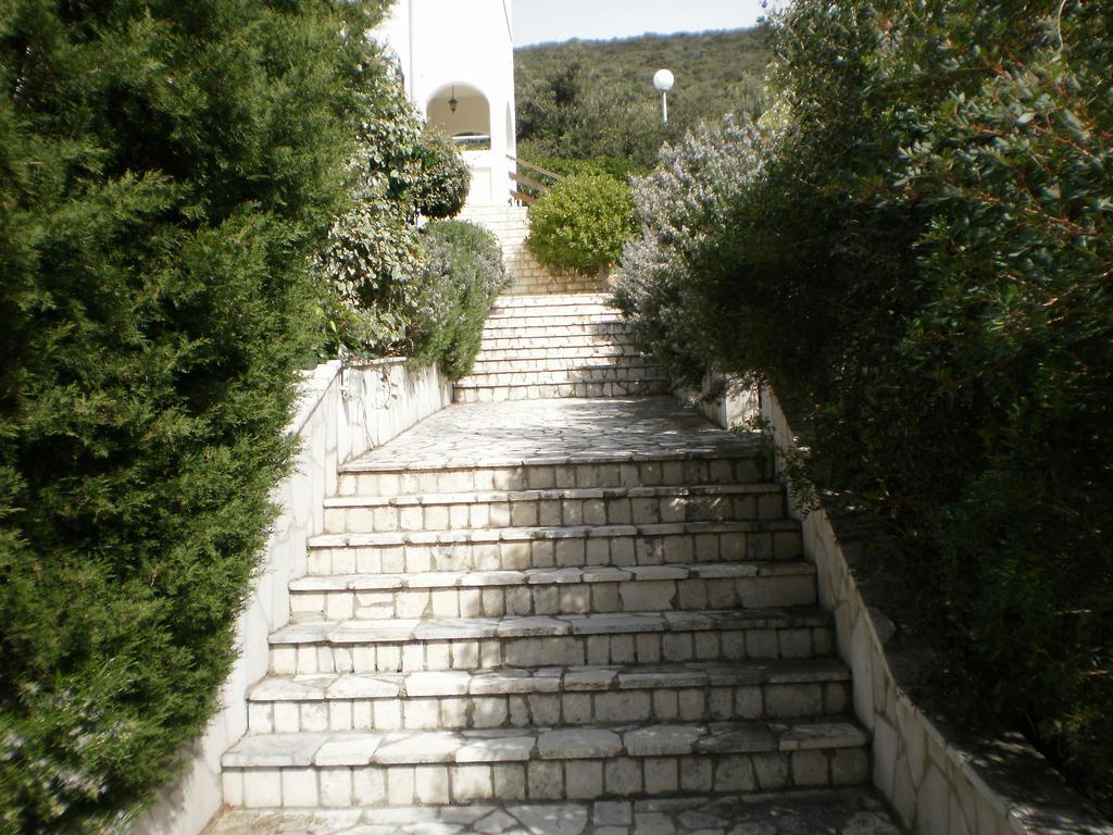 Apartma Pinezic