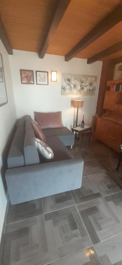 Apartment Pinezic *