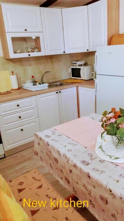 Pinezic Apartment *